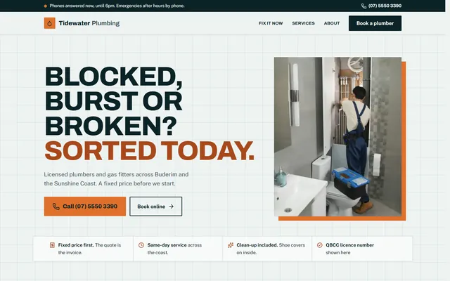 The Tidewater Plumbing example website