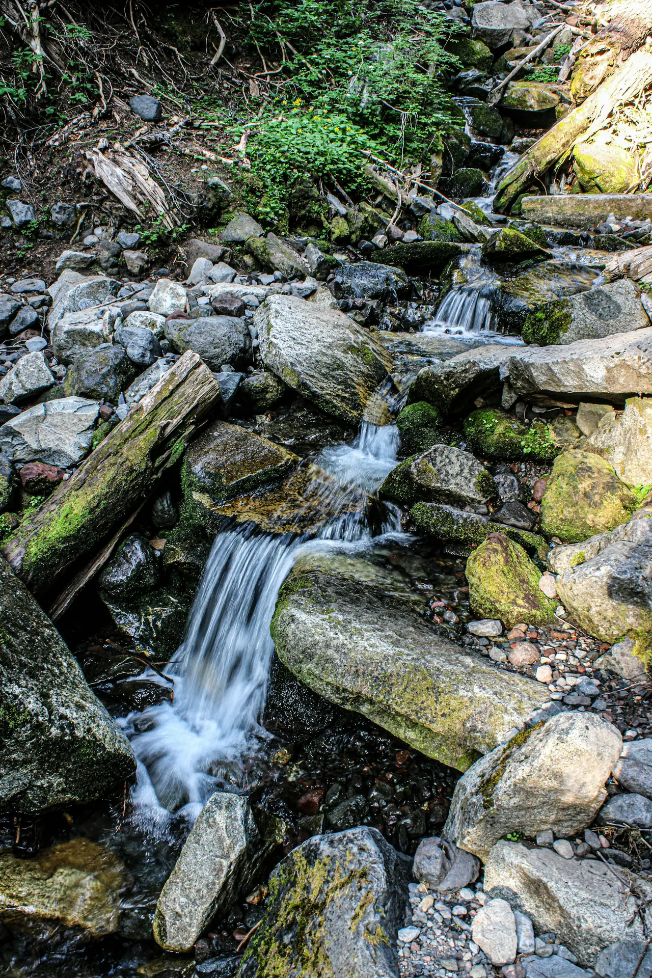 Water running over rocks and logs in a small creek