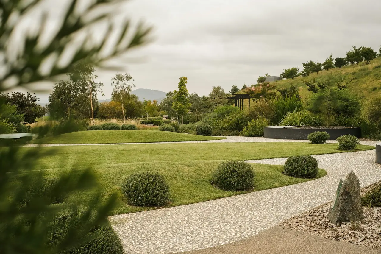 Clipped shrubs and native grasses on a sloping garden bed