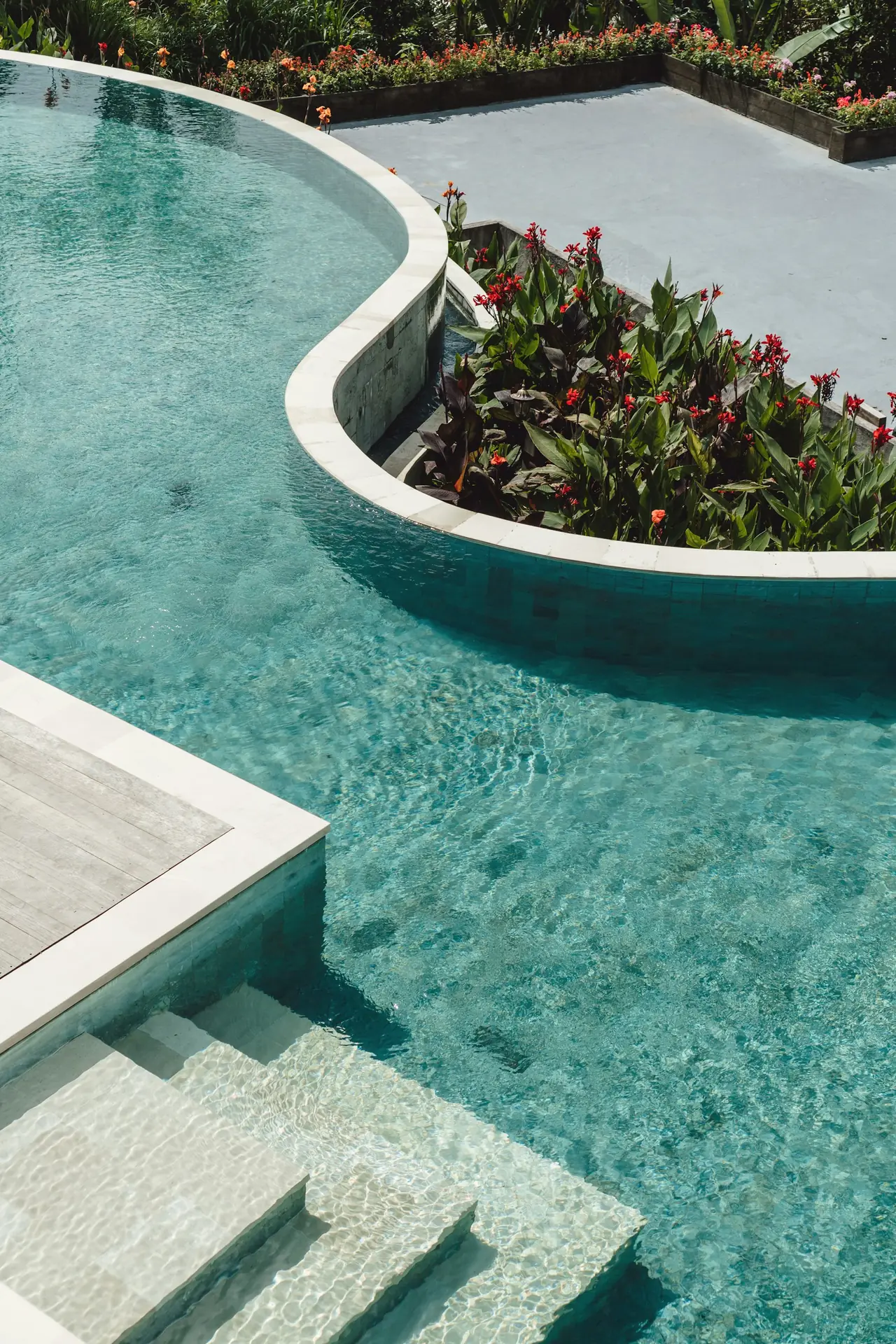 A curved pool edge with planting set into the paving