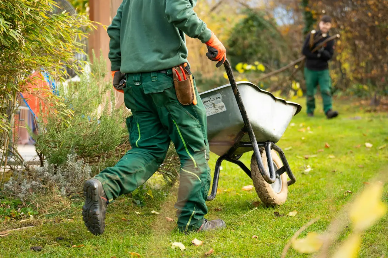 A landscaper in green work gear pushing a wheelbarrow across a lawn